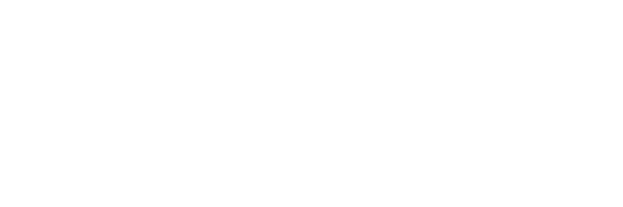 PT. Profesional Manunggal Karsa